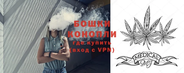 apvp Семёнов