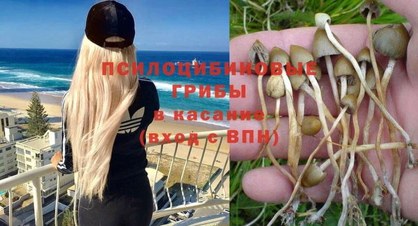PSILOCYBIN Семилуки