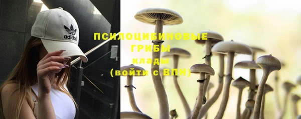 apvp Семёнов