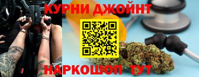 стафф Кингисепп