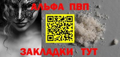 стафф Кингисепп