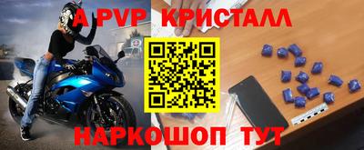 стафф Кингисепп