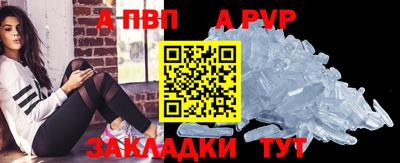 стафф Кингисепп