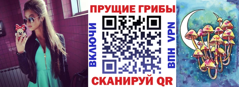 хочу Лесозаводск даркнет как зайти Псилоцибиновые грибы Cubensis