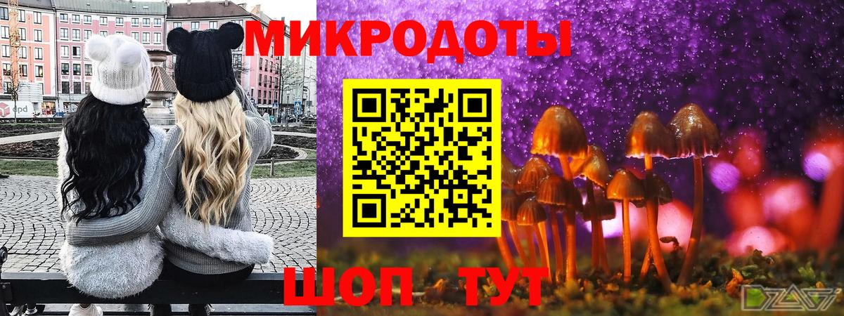 Галлюциногенные грибы прущие грибы Лесозаводск