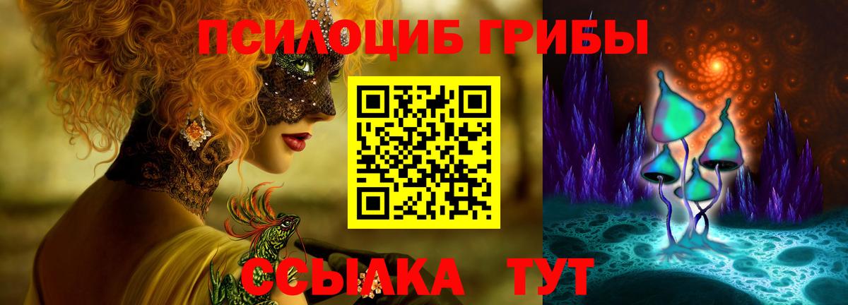 Галлюциногенные грибы мухоморы  Вход с VPN  купить наркоту  Галлюциногенные грибы Cubensis  Лесозаводск 